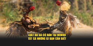 Luật đá gà